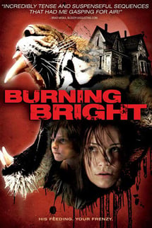 Kaplan Kapanı – Burning Bright izle