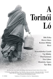 Torino Atı – A Torinói ló izle