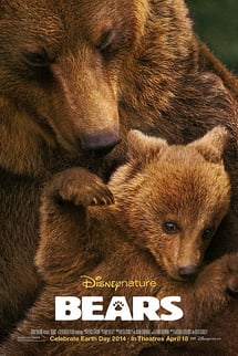 Ayılar – Bears izle