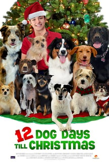 Noel’ in 12 Köpeği – 12 Dog Days of Christmas izle