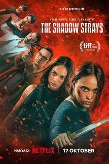 Asi 13 – The Shadow Strays izle