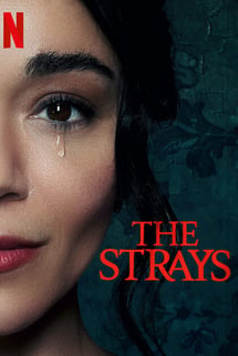 Başıboş – The Strays izle