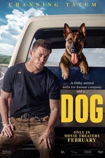 Köpek – Dog izle