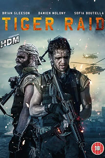 Kaplan Baskını – Tiger Raid izle