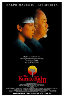 Karateci Çocuk 2 – The Karate Kid Part 2 izle