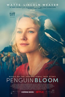 Umut Kuşu – Penguin Bloom izle