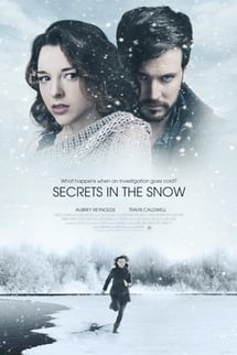 Secrets in the Snow izle